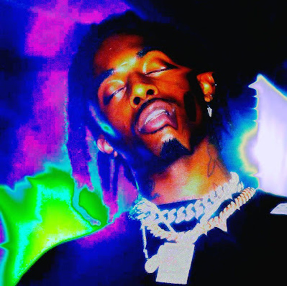 Meet your Posher, Ivy - Picture 1 of 1